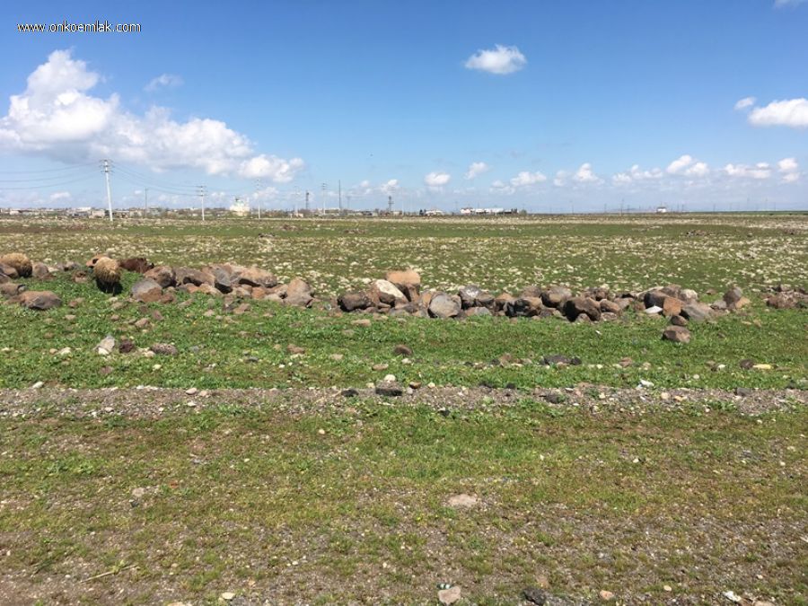 Satılık Müstakil 1 Dönüm  Arsa Diyarbakır Ergani Yolu 