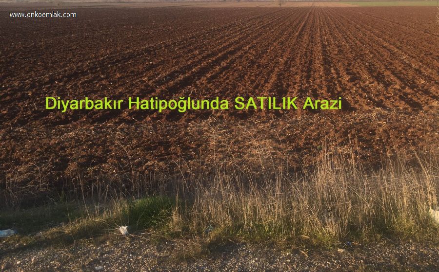 Diyarbakır Hatipoğlu Satılık Arazi